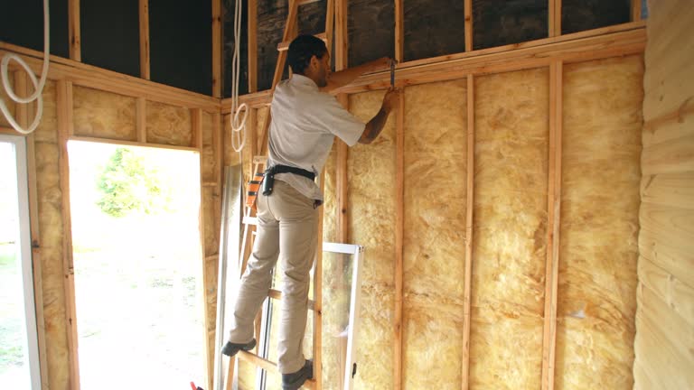 Best Garage Insulation  in Big Spring, TX